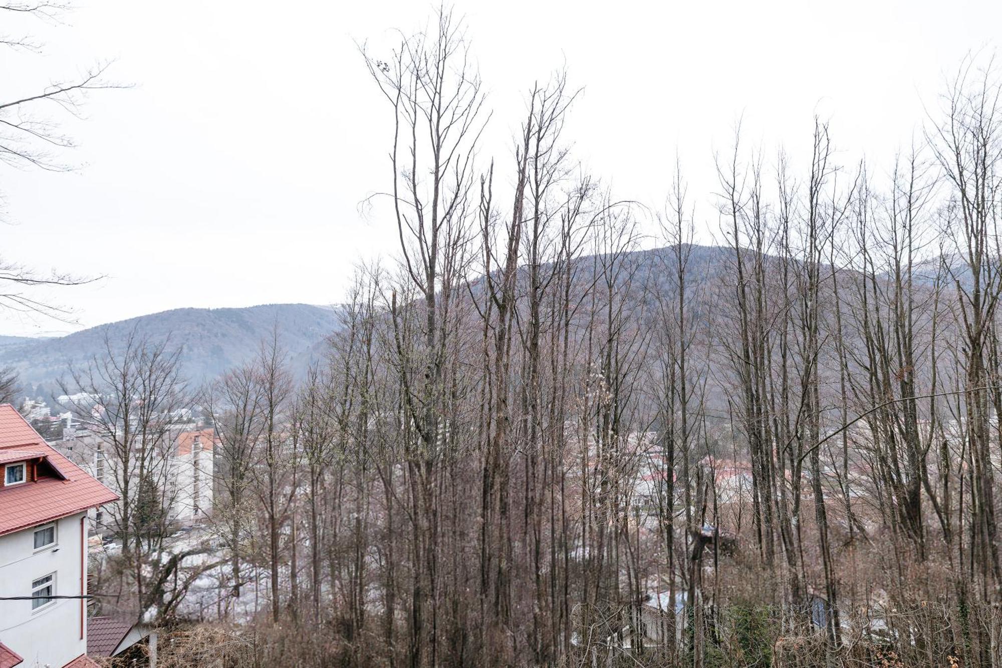 Forest Private With Balcony & Parking - Hublou 2 Apartament Sinaia