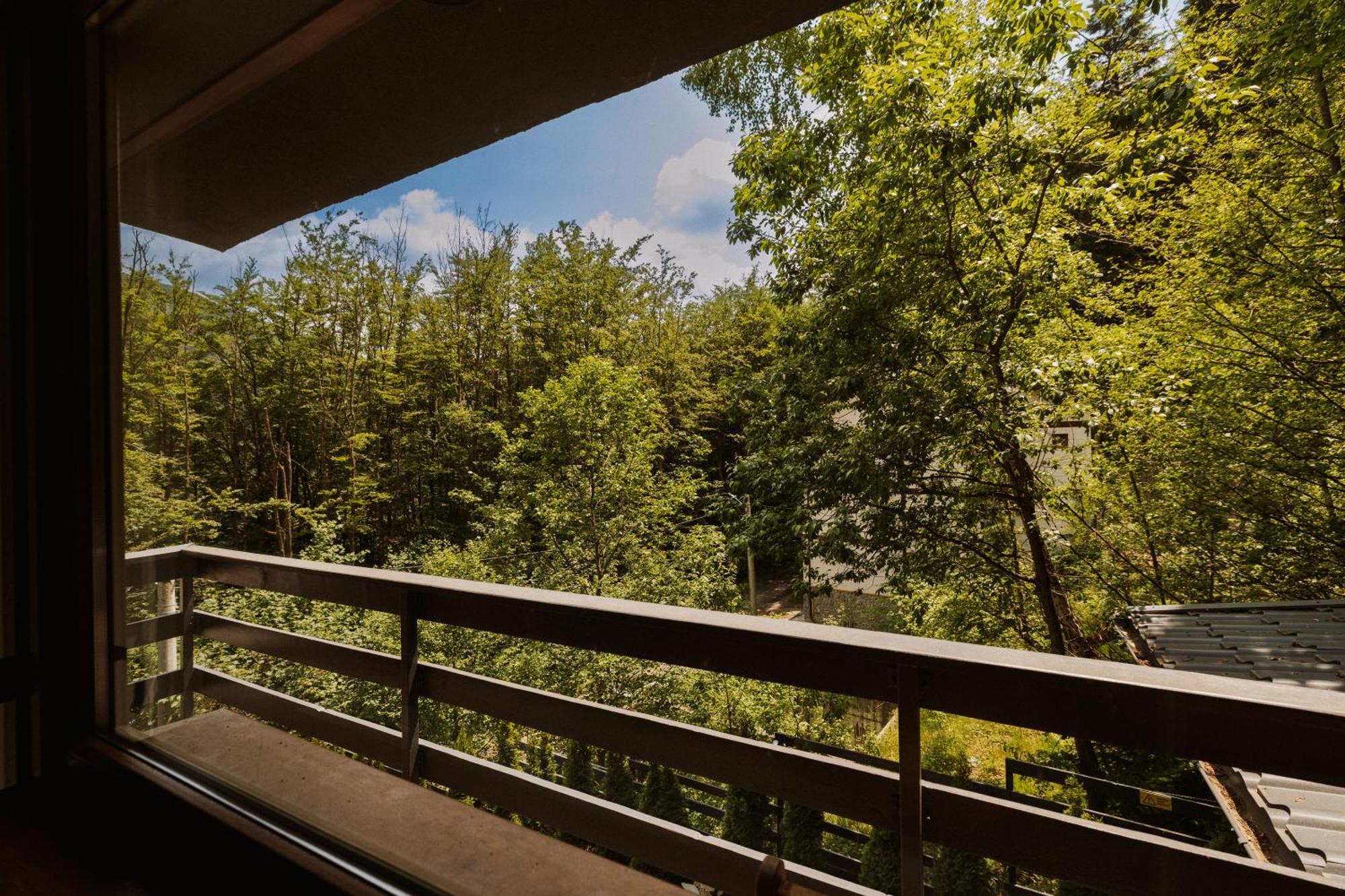 Forest Private With Balcony & Parking - Hublou 2 Sinaia